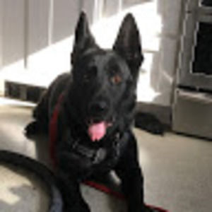 Meet your Posher, Gabi